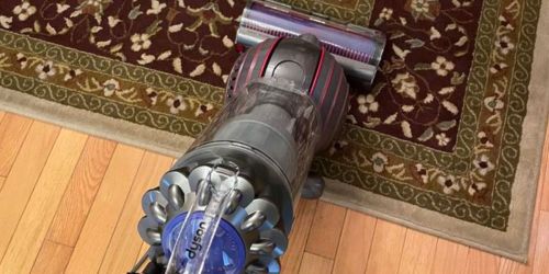 Dyson Ball Animal 3+ Upright Vacuum Cleaner Only $279.98 on SamsClub.online (Reg. $350)