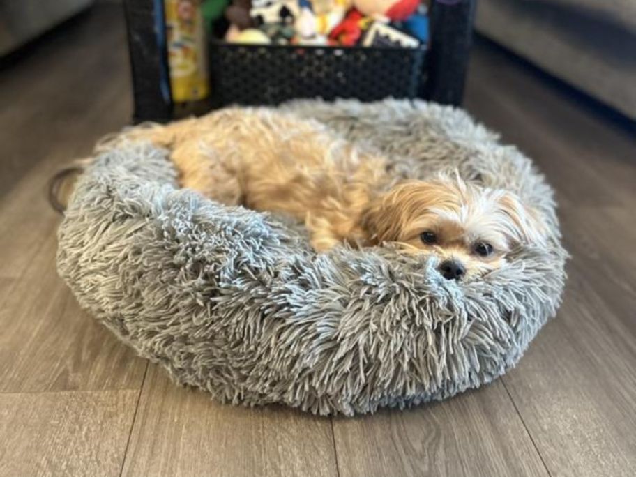 dog laying in FurHaven Calming Cuddler Long Fur Small Donut Dog Bed