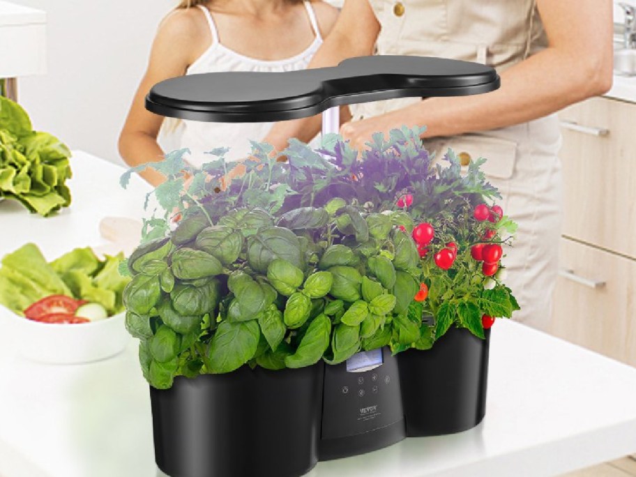 Plant growing system displayed filled with greens