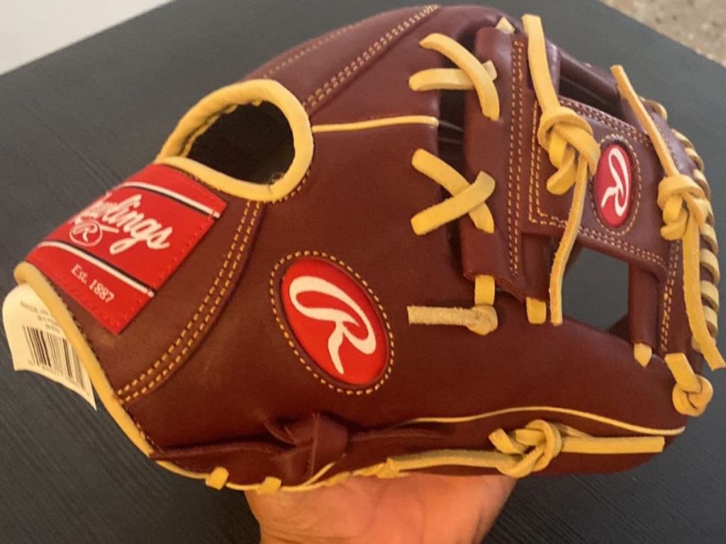 Rawlings sandlot Series Glove