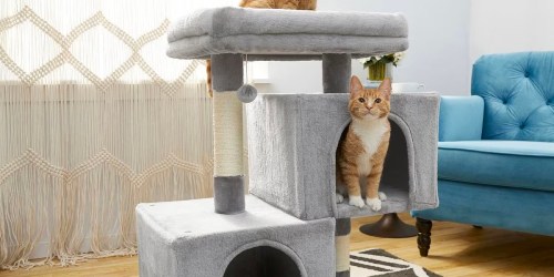 Cat Trees & Condos Only $29 Shipped on Chewy.online | Many Styles & Colors Available!