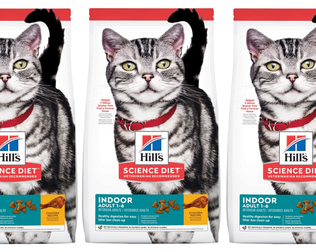 three bags of dry cat food