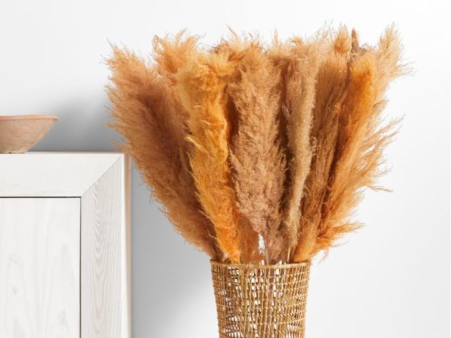 Crate & Barrel Pale Peach Dried Grass Plume Bunch