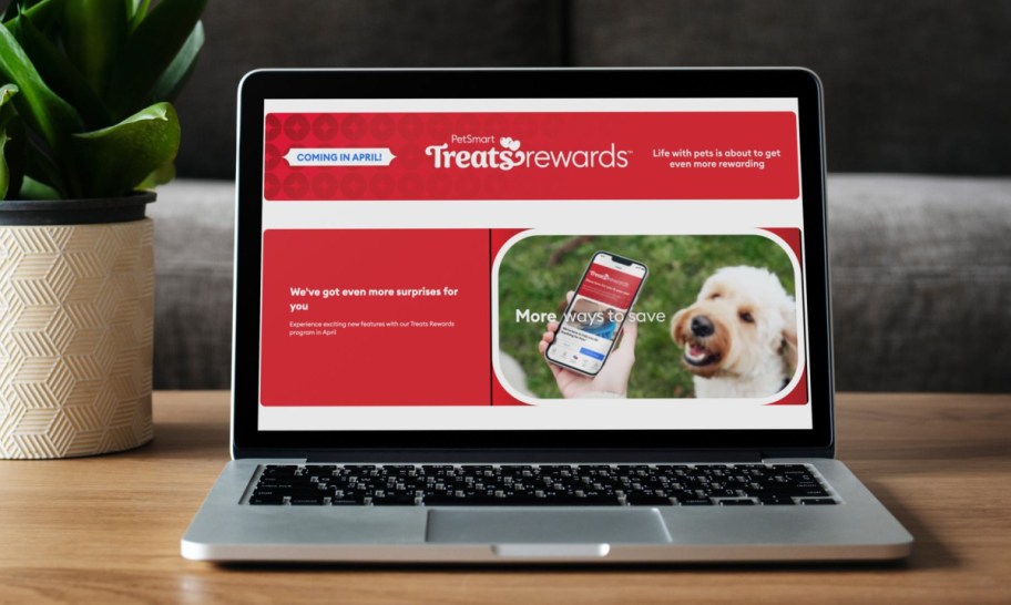 PetSmart Treats Rewards shown on a onlineputer