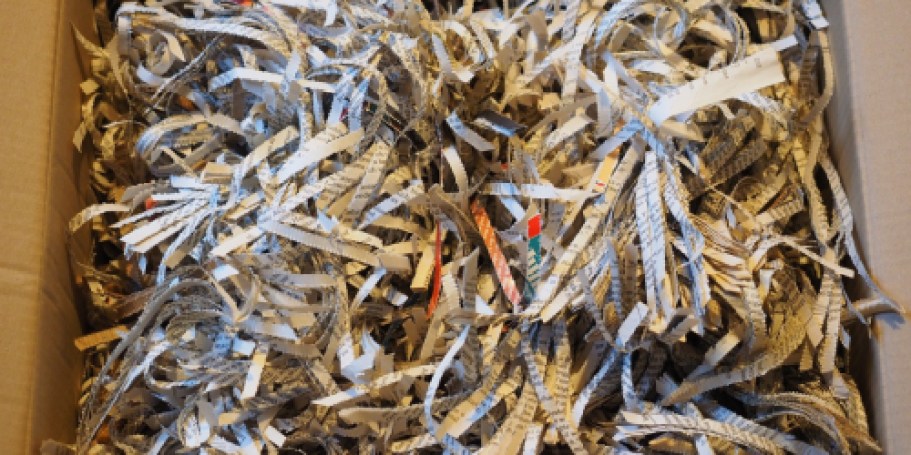 FREE Paper Shredding Events in 2025 (Some Have No Paper Limit!)