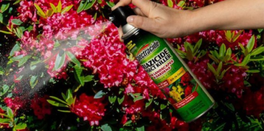 Spectracide Insect Killer for Gardens 16oz Can Only $1.52 on Amazon (Regularly $8)