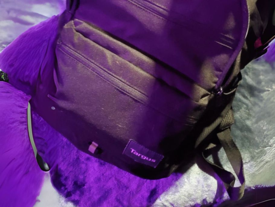 *HOT* Targus Laptop Backpack Only $11.99 Shipped (Regularly $40)