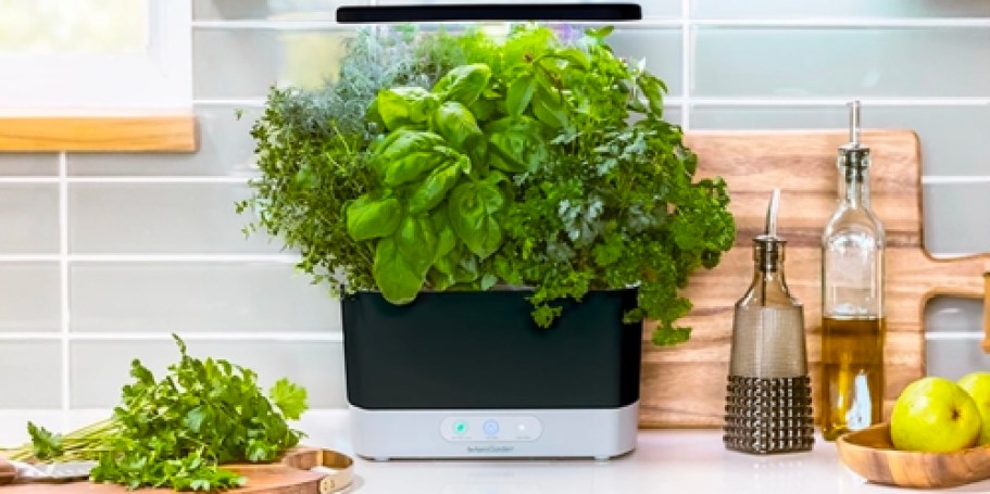 Save BIG w/ Amazon Warehouse Deals | AeroGarden Harvest Just $63 Shipped (Regularly $150)