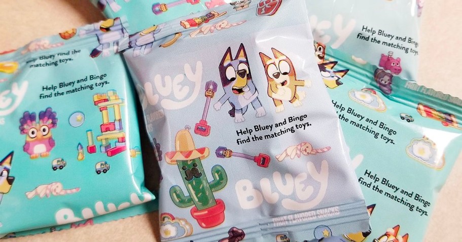 Bluey Fruit Snacks 22-Count Box Only $2.93 Shipped on Amazon