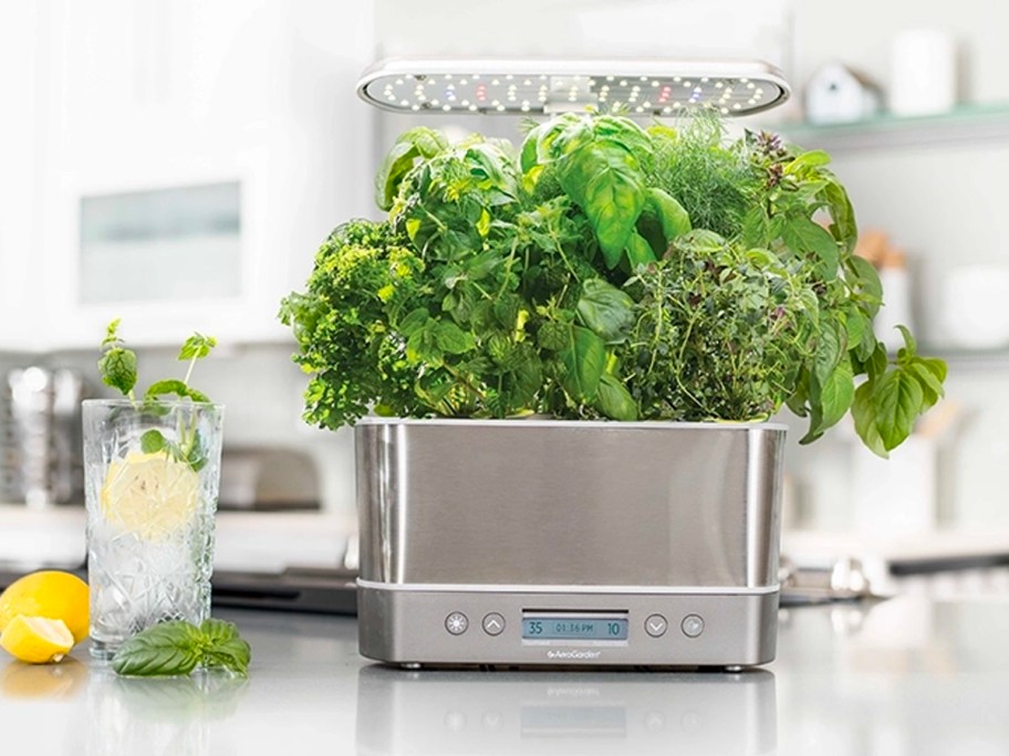 silver aerogarden on counter