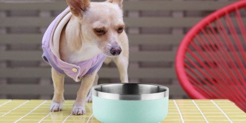 Stainless Steel Dog Bowls 2-Packs Just $4.91 on SamsClub.online (Regularly $15)