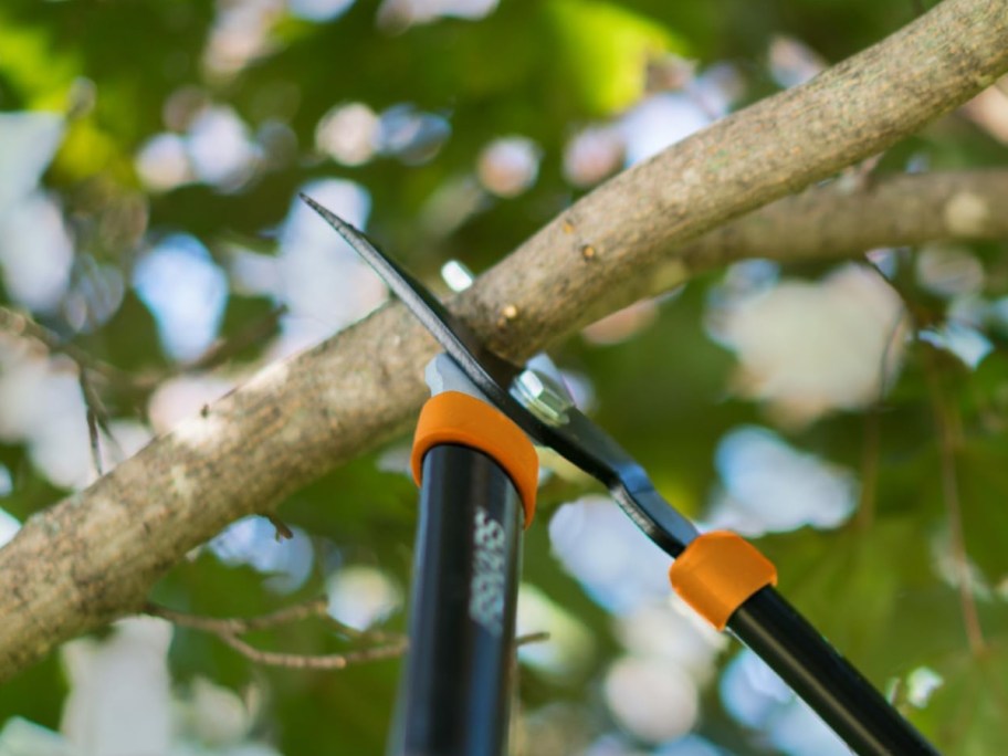 tree trimmer cutting tree