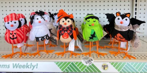 *NEW* Dollar Tree Halloween Birds Only $1.25