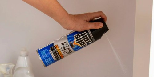 Hot Shot Flying Insect Spray 15oz Only $2.97 on Amazon or Walmart.online