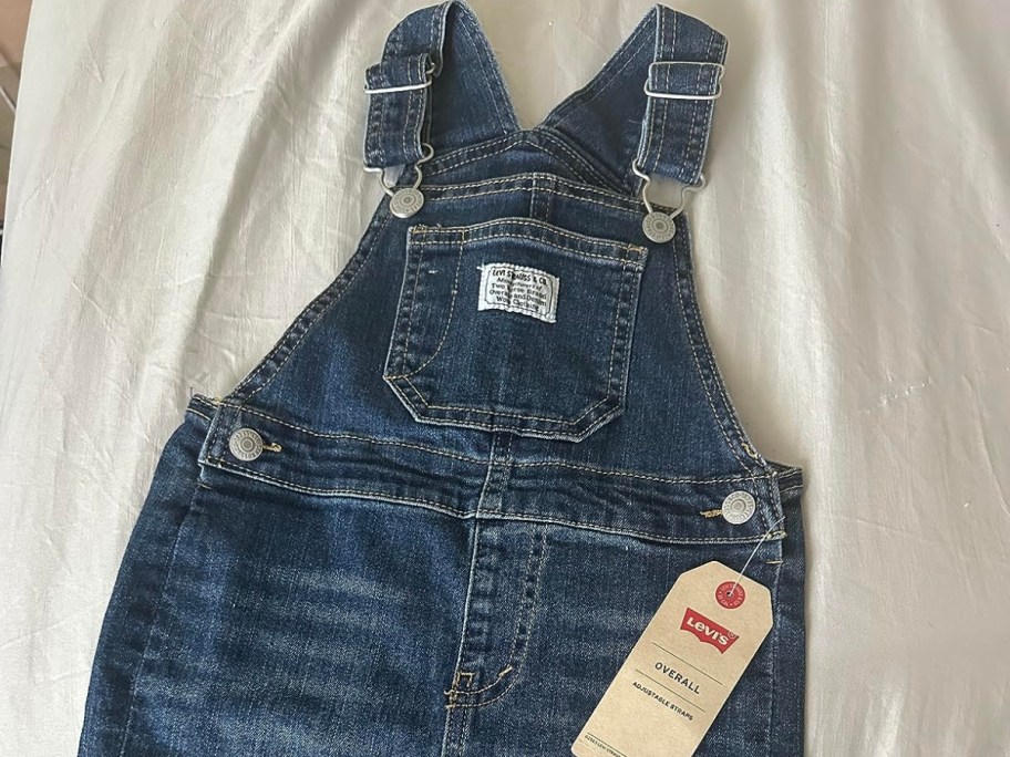 Levi's Baby Boys Denim Overalls