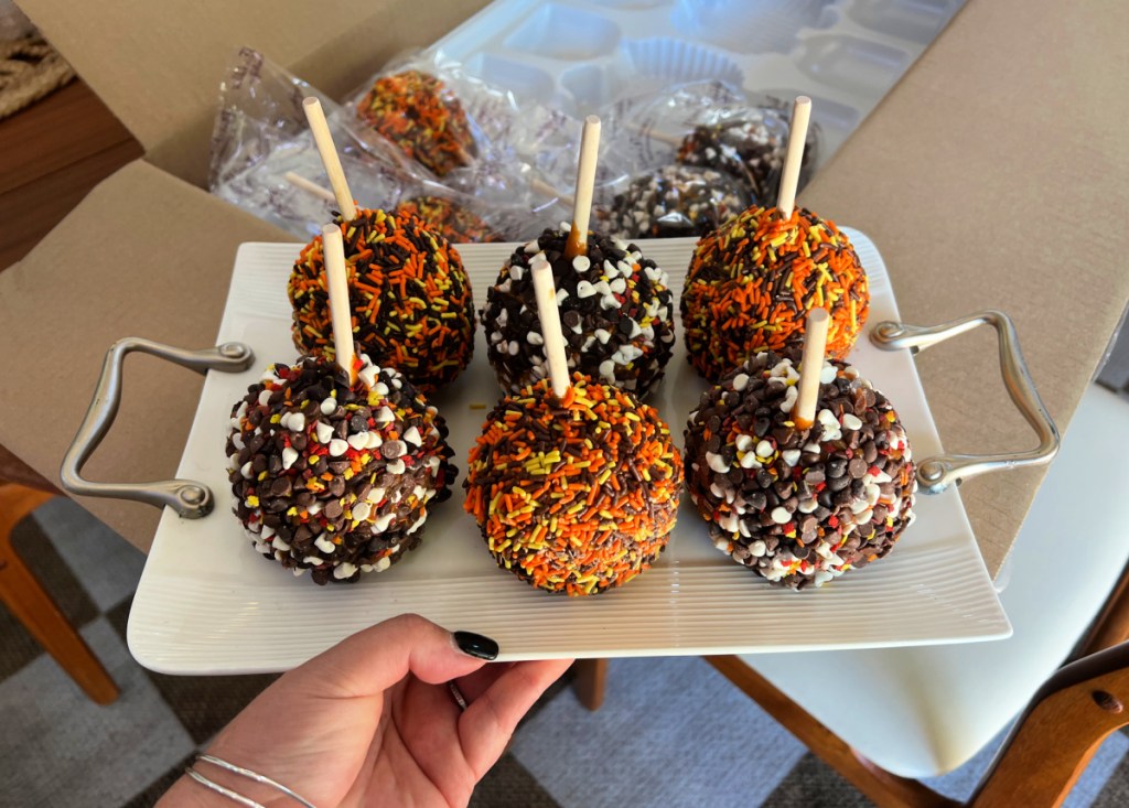 Mrs. Prindables Fall Apple Assortment from QVC