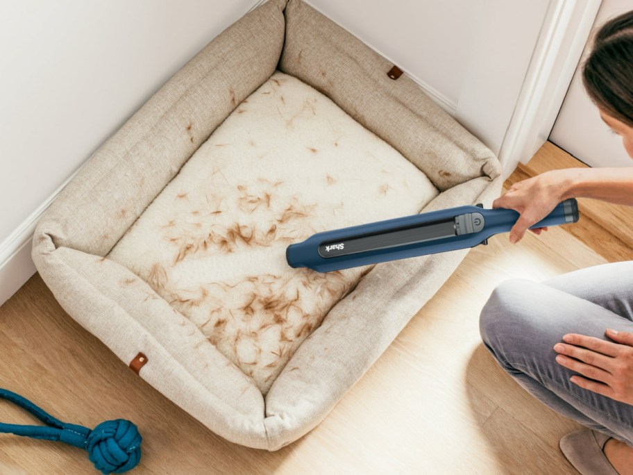 hand holding shark vacuum system to clean a dog bed
