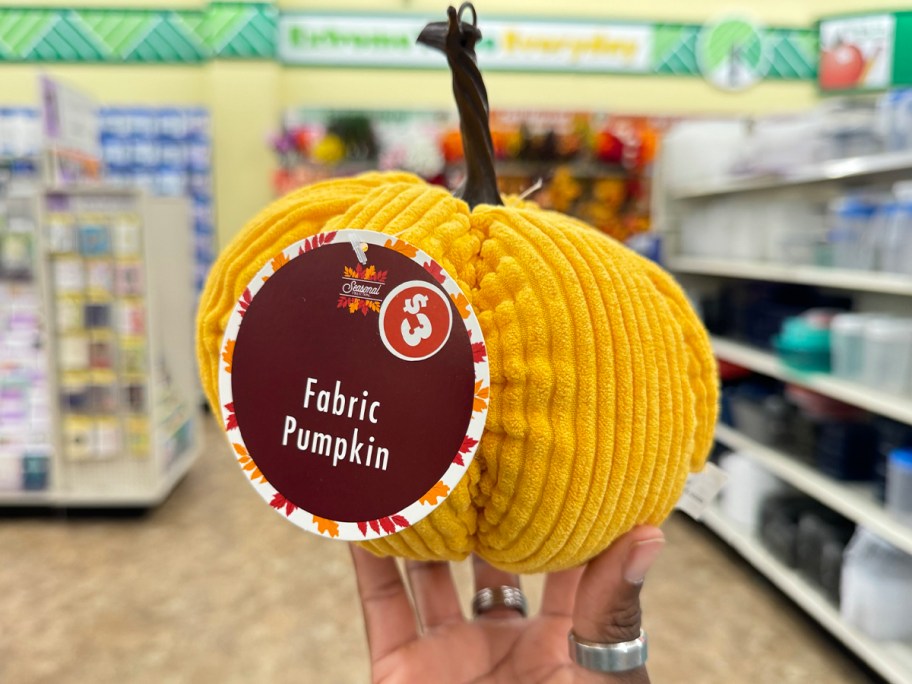 hand holding fabric pumpkin