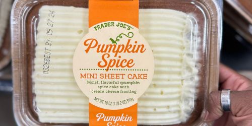 Our Top 15 Trader Joe’s Pumpkin-Flavored Items (All Under $9)