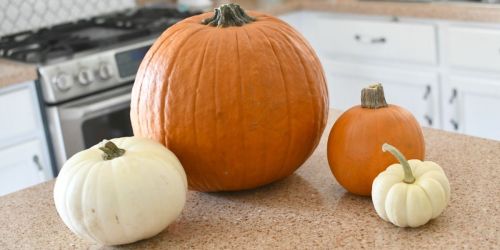 Large Carving Pumpkins Only $2.99 at Kroger (Reg. $5.50)