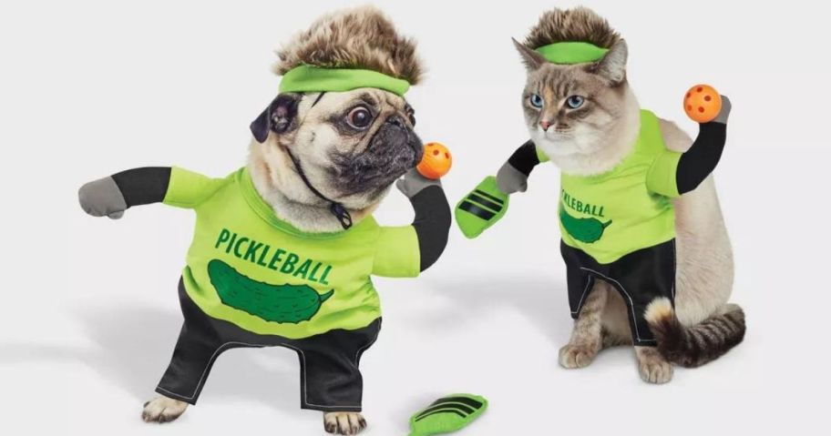 2 dogs in pickleball costumes