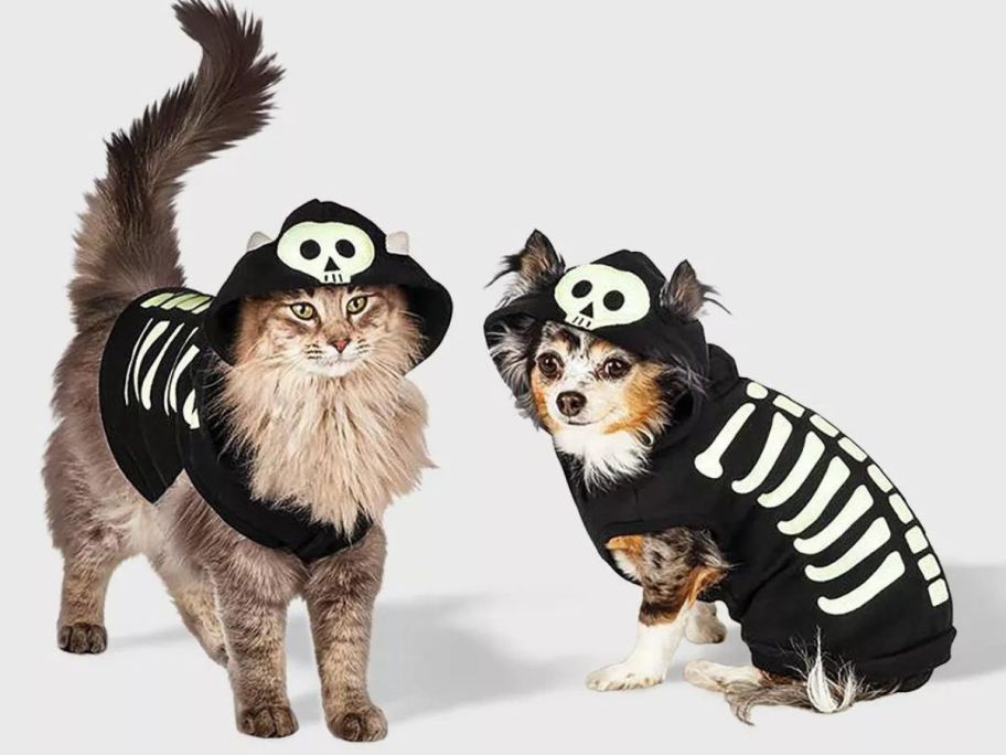 A cat and a dog in skeleton costumes