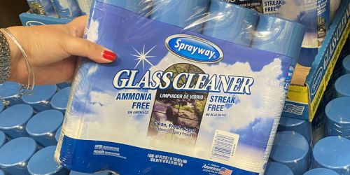 Sprayway Glass Cleaner 4-Pack Only $9.88 Shipped on Amazon (Just $2.47 Per Can!)