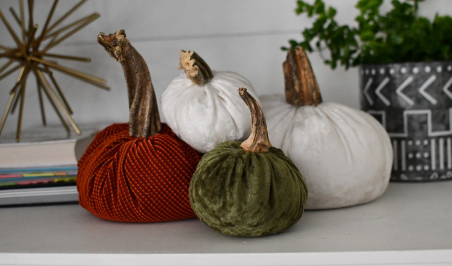 Velvet Pumpkins