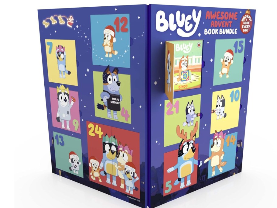 bluey advent calendar book box