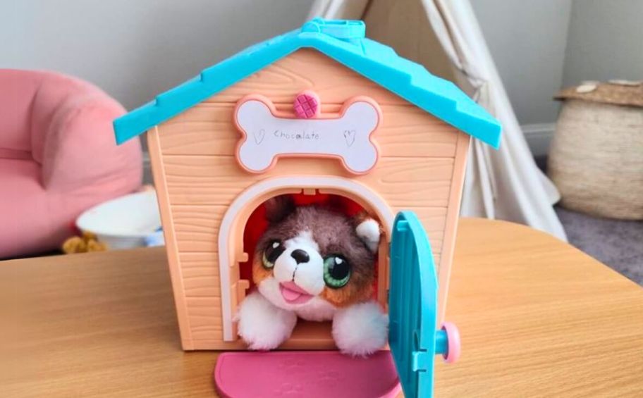 little live pet in it's doghouse shaped kennel on a table top