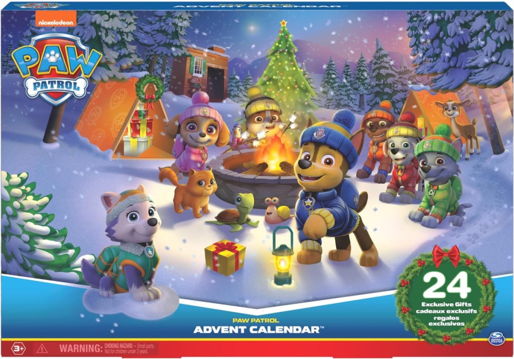 paw patrol advent calendar in its box