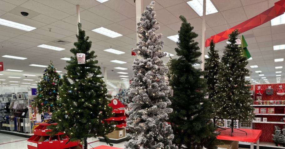 a selection of target christmas trees in store