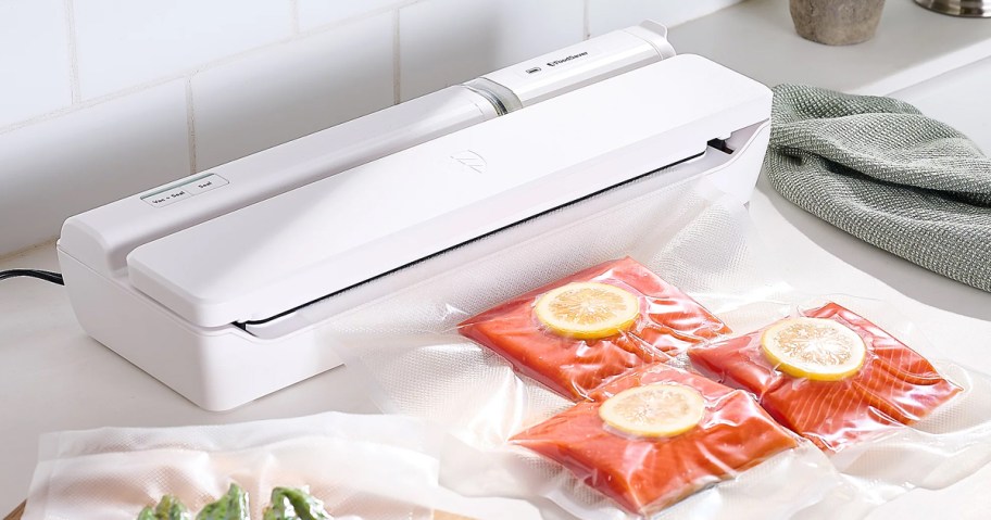 white FoodSaver sealing salmon