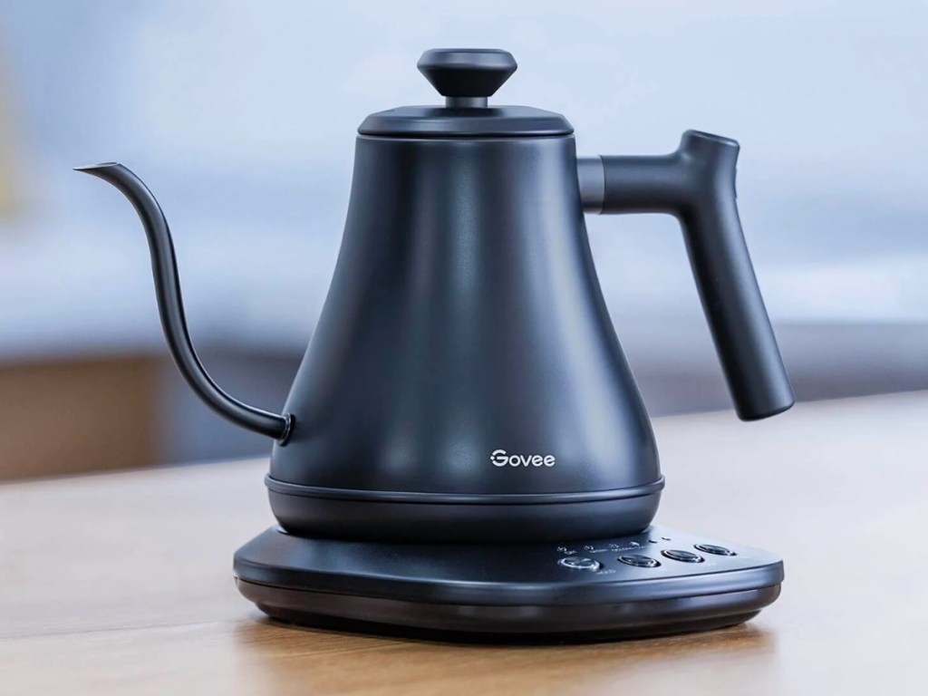 GoveeLife Smart Electric Gooseneck Kettle