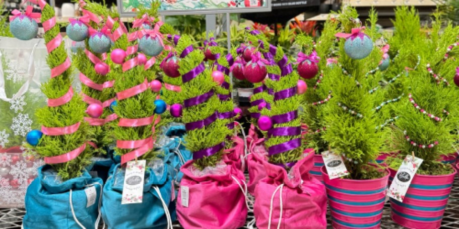 Mini Grinch Christmas Trees Only $19.88 at Home Depot