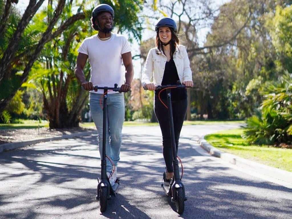 Segway F30 Electric Kick Scooter