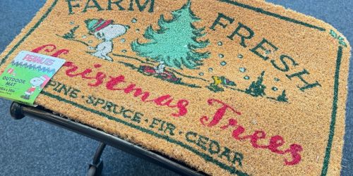 Kohl’s Christmas Doormats from $12.53 Each (Reg. $25) | Peanuts, Disney, & More