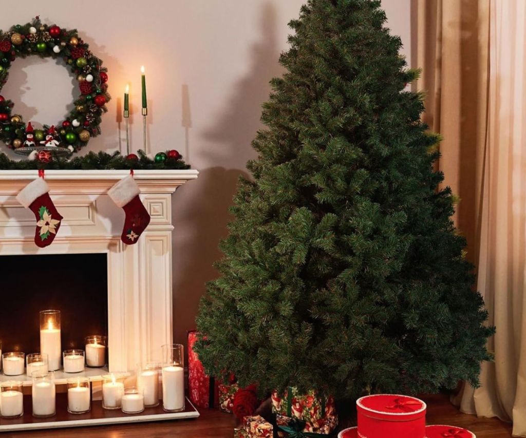 A Christmas Tree in a living room