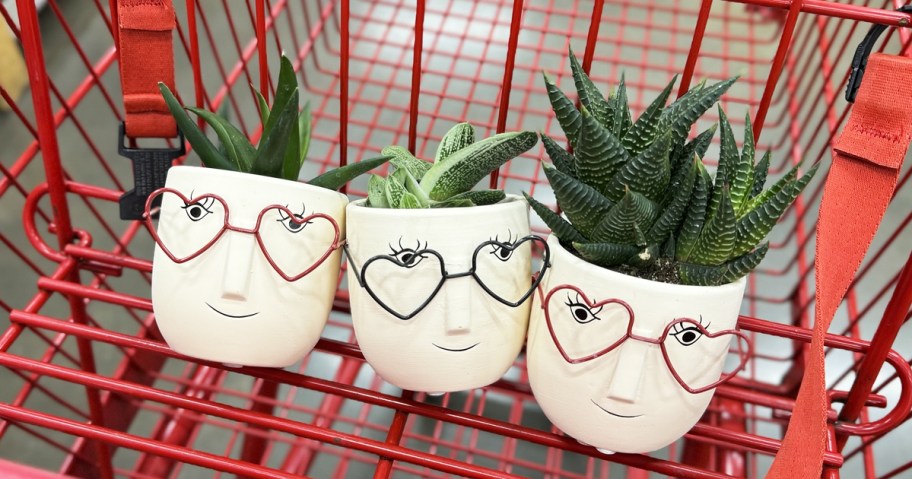 three succulents in white planters with heart shaped glasses in red shopping cart