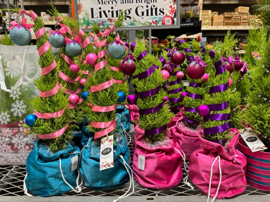 mini Christmas trees that look like the Grinch's tree with pink, blue and purple decorations sitting on a garden center table at home Depot