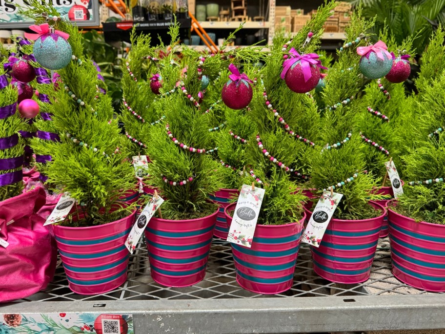 mini Christmas trees that look like the Grinch's tree with pink, blue and green decorations sitting on a garden center table at home Depot