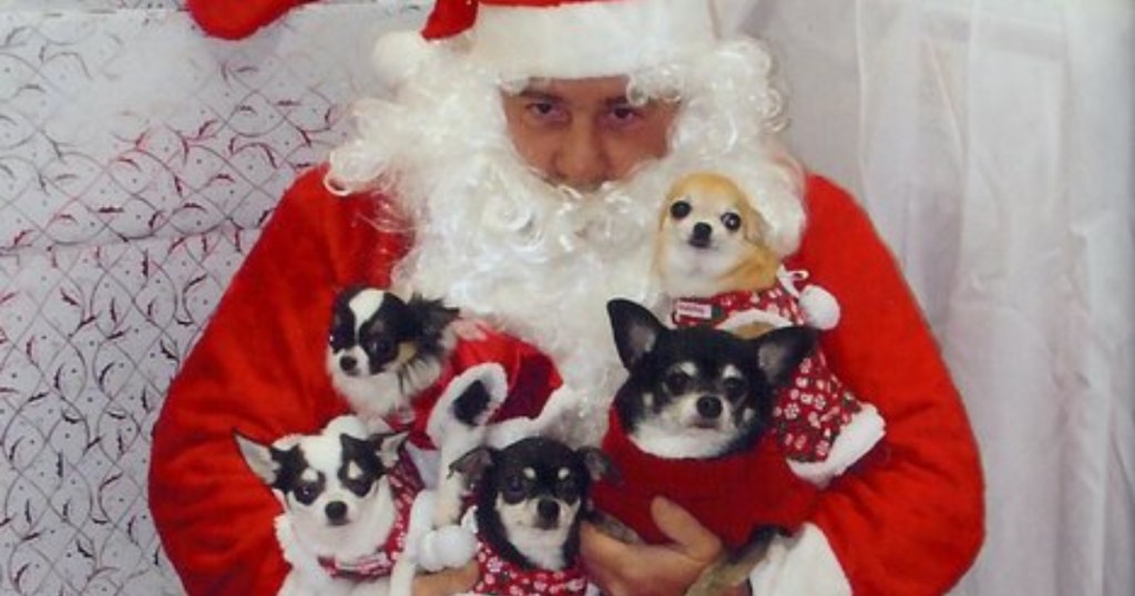 santa holding multiple puppies