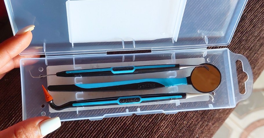 DenTek 3-Piece Oral Care Kit Just $4 Shipped on Amazon