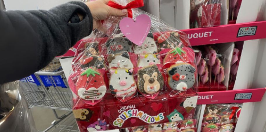 Squishmallow Valentine’s Day Cookie Bouquet Only $14.96 at Sam’s Club