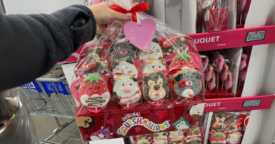 Squishmallows Valentine's Day Cookie Bouquet 12-Count in hand in store