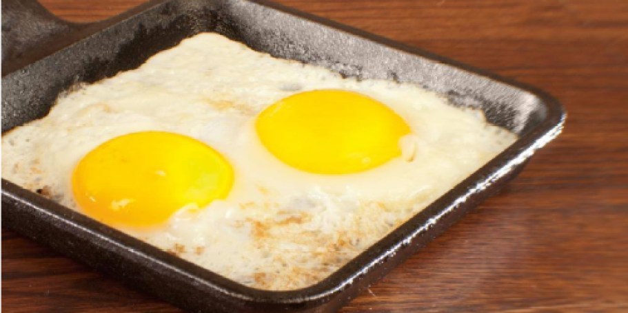 Lodge 5.5″ Square Cast Iron Skillet Just $7.90 Shipped on HomeDepot.online
