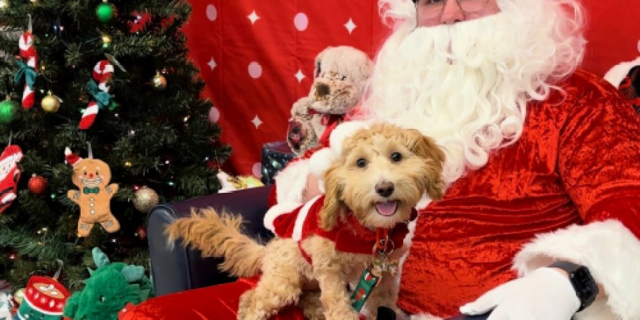 FREE Photo with Santa at PetSmart on December 14th & 15th (Make Your Reservation NOW)