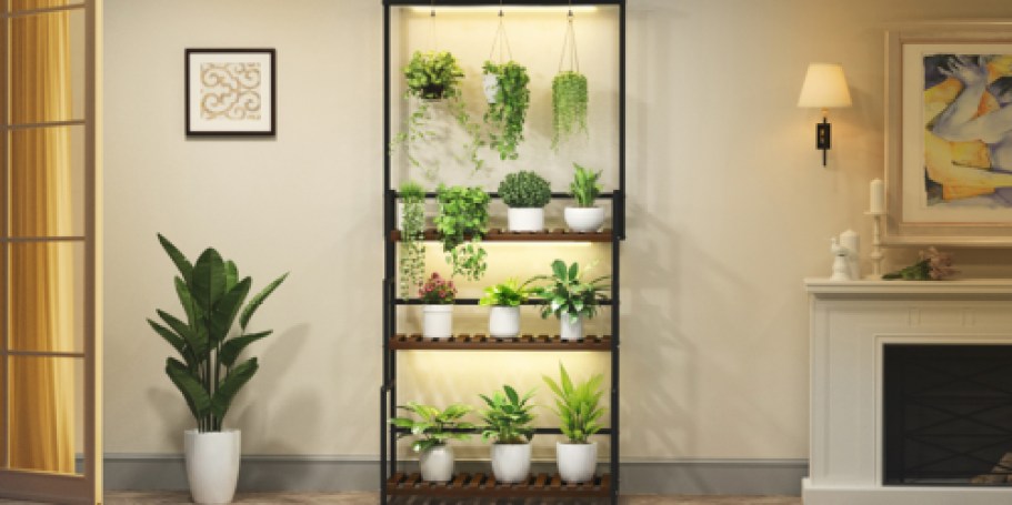 Hanging Plant Stand w/ Grow Lights Only $69.99 Shipped on Amazon (Regularly $110)