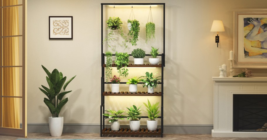 Hanging Plant Stand w/ Grow Lights Only $69.99 Shipped on Amazon (Regularly $110)