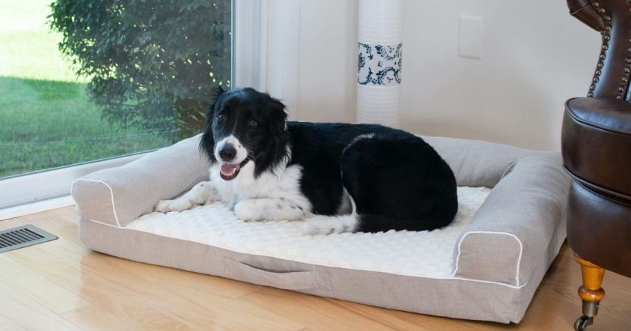 50% Off Petco Dog Beds – Fun & Cozy Styles from $19.99